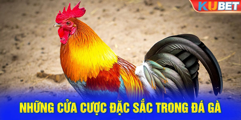 Những cửa cược đặc sắc trong đá gà